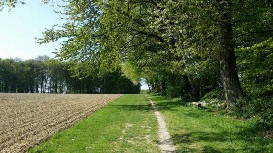 Coesfelder Berg im Münsterland